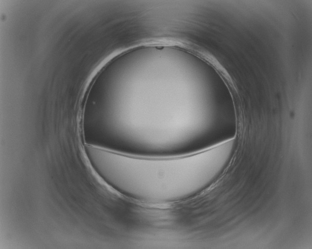 X0000081481484200701121028