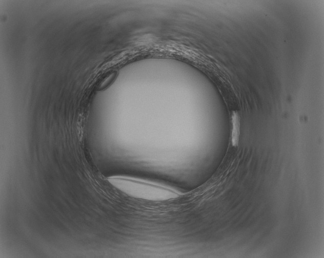 X0000081481491200701121027