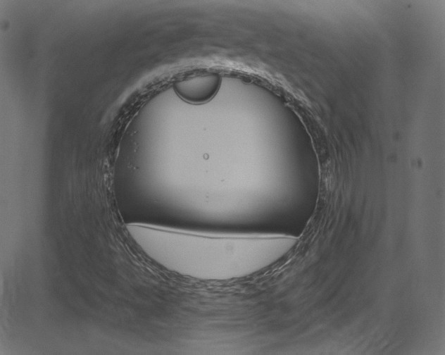 X0000081481495200701121027