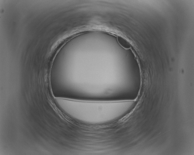 X0000081481499200701121027