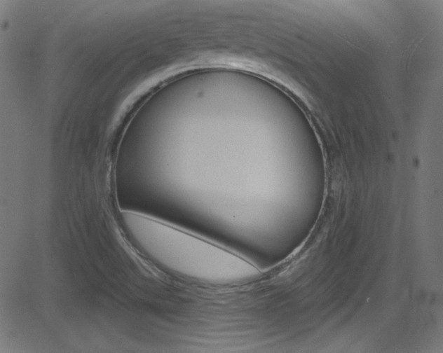 X0000081481507200701121028