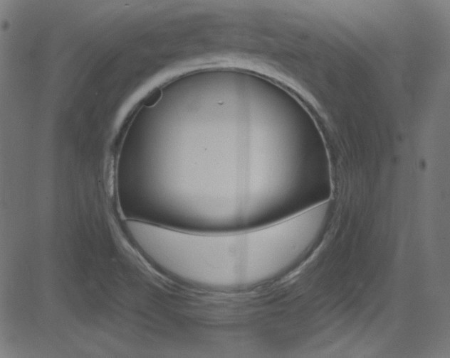 X0000081481510200701121028