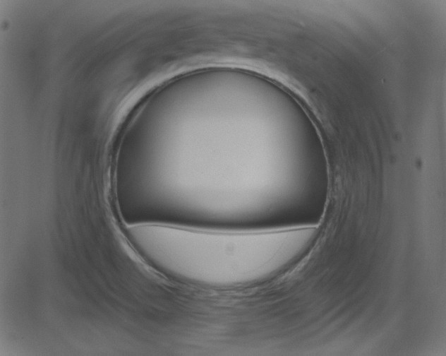 X0000081481511200701121028