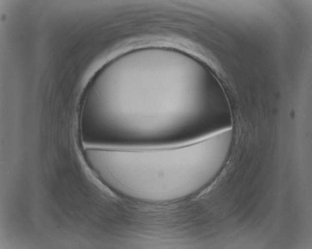 X0000081481518200701121028