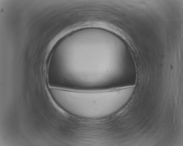 X0000081481519200701121028