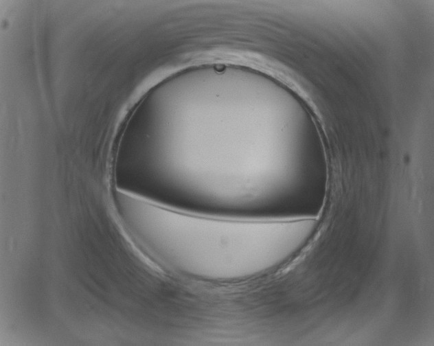X0000081481525200701121028