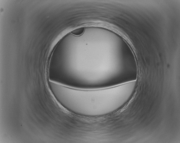 X0000081481533200701121028
