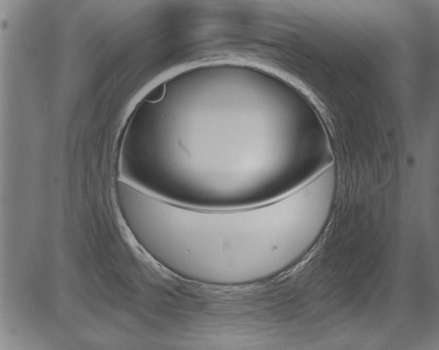 X0000081481534200701121028