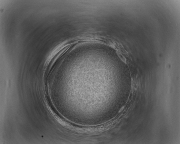 X0000081480005200701121456