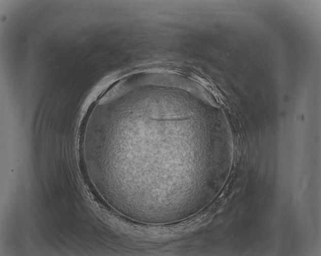 X0000081480006200701121456