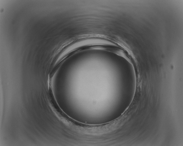 X0000081480013200701121456