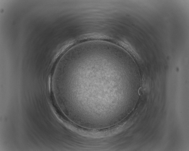 X0000081480014200701121456