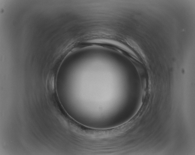 X0000081480021200701121456
