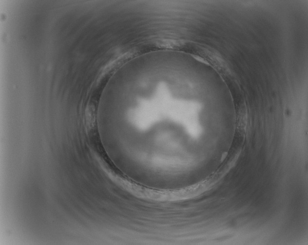 X0000081480043200701121456