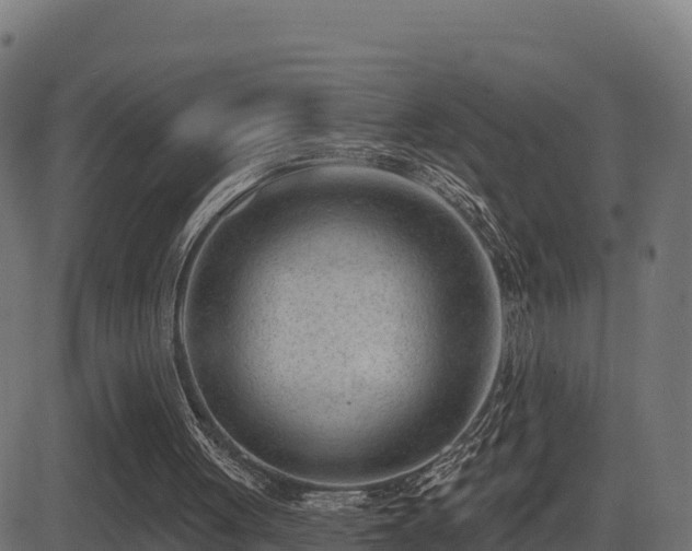 X0000081480051200701121455