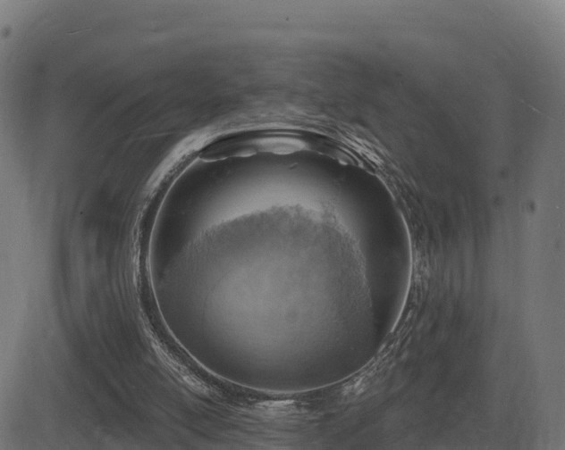 X0000081480054200701121455