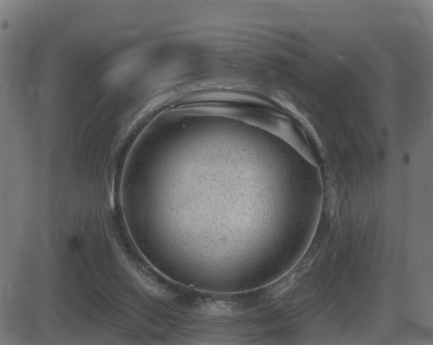 X0000081480062200701121455