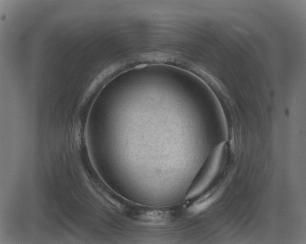 X0000081480064200701121455