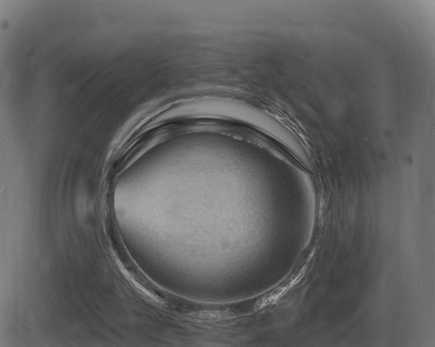 X0000081480101200701121455