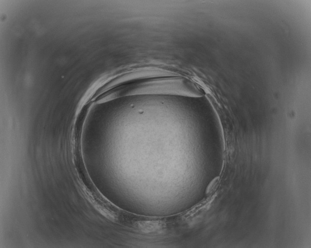 X0000081480102200701121455