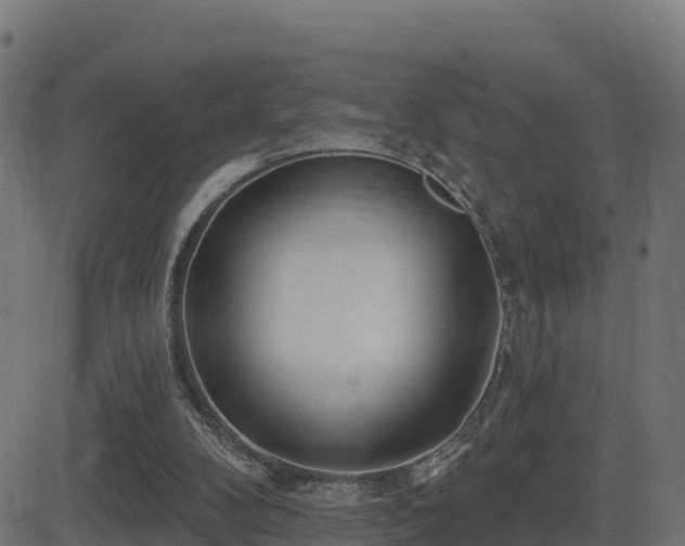 X0000081480104200701121455