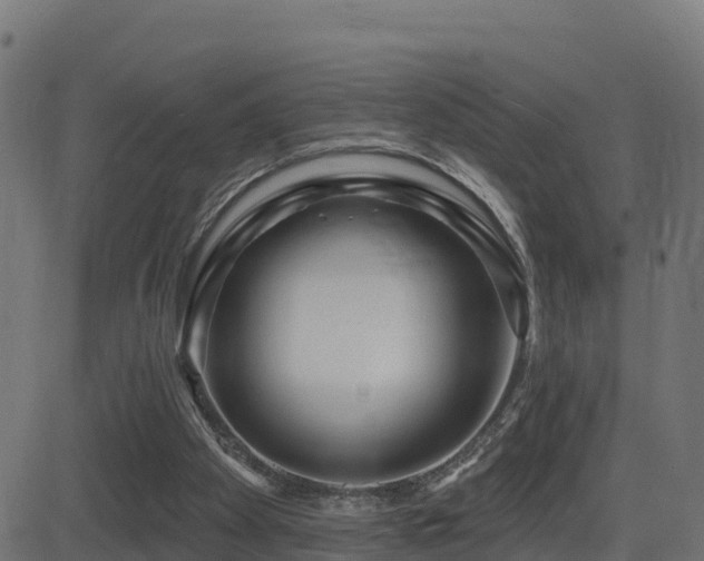 X0000081480105200701121455