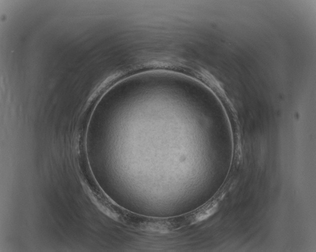 X0000081480106200701121455