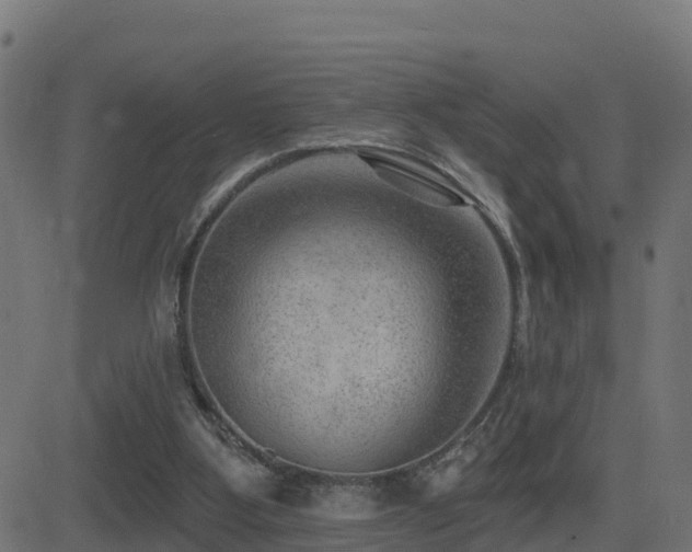 X0000081480107200701121455