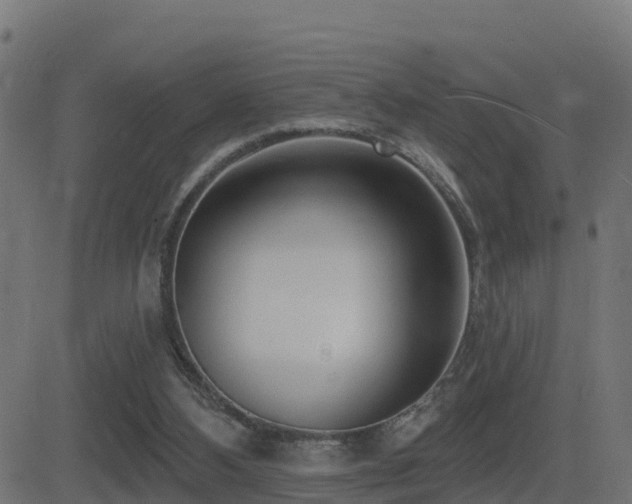 X0000081480108200701121455