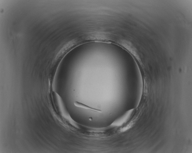 X0000081480109200701121455