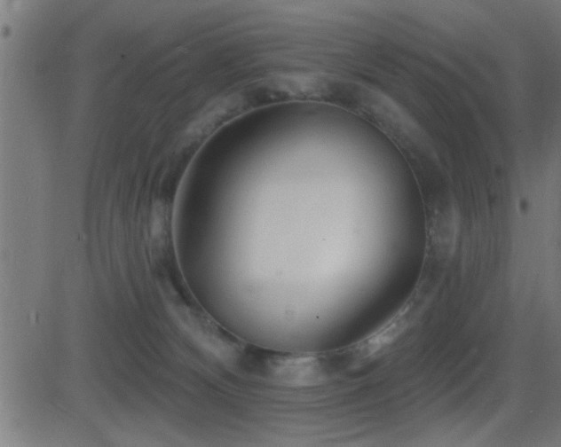 X0000081480132200701121454
