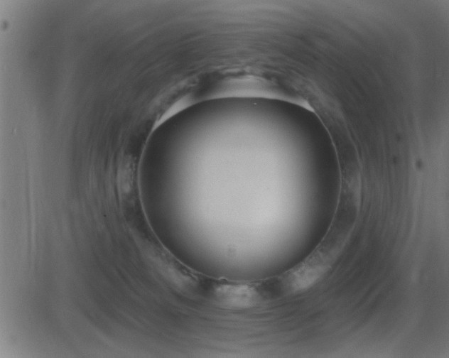 X0000081480133200701121454