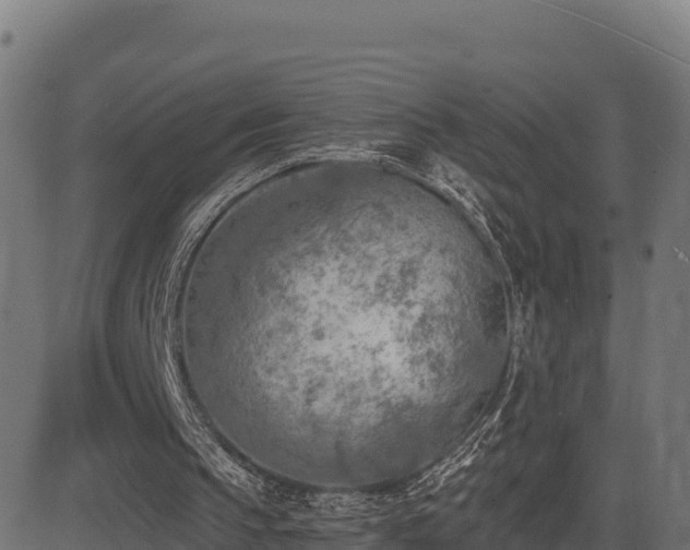 X0000081480145200701121453