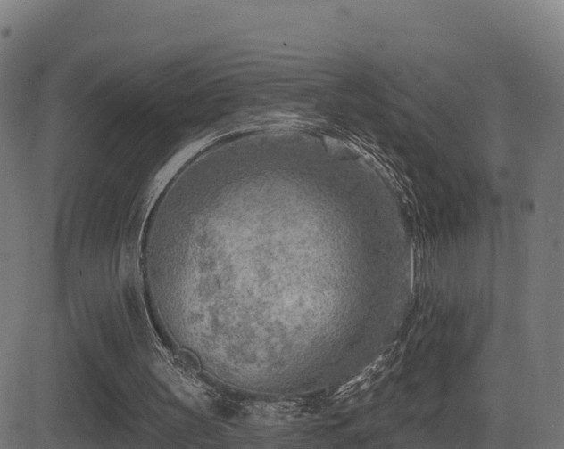 X0000081480147200701121453