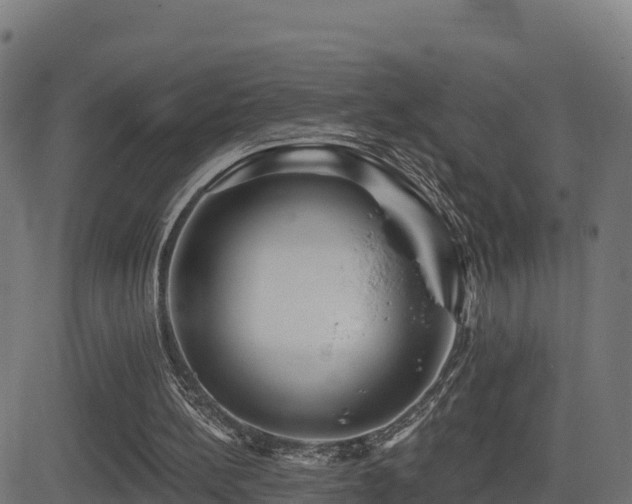 X0000081480148200701121453