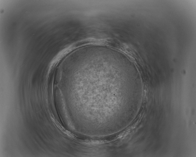 X0000081480149200701121453