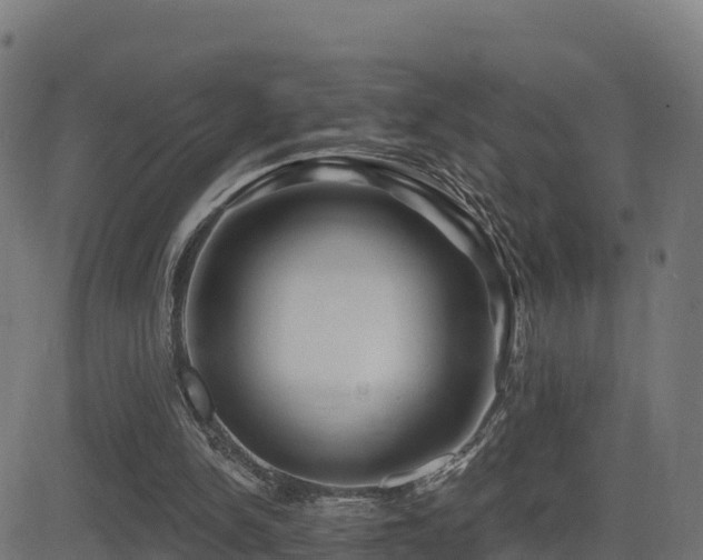 X0000081480150200701121453