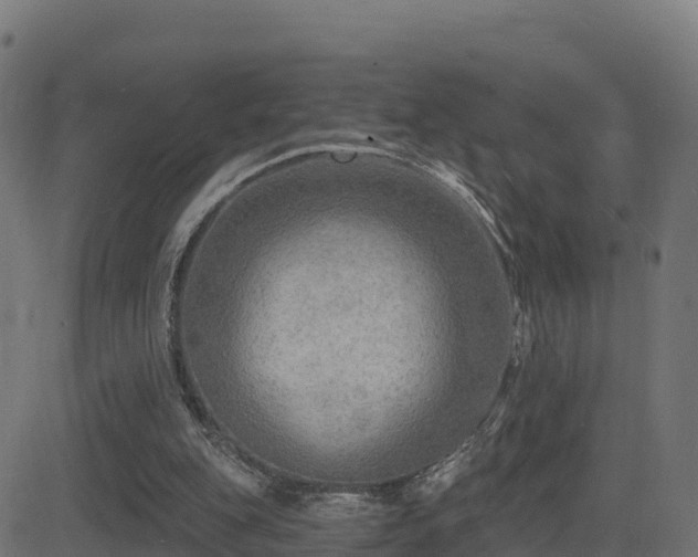 X0000081480151200701121453