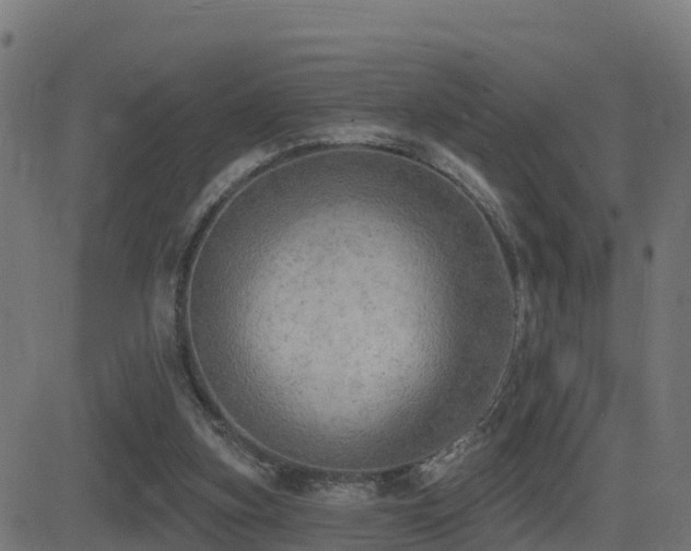X0000081480155200701121453