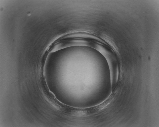 X0000081480156200701121453