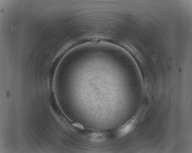 X0000081480158200701121453