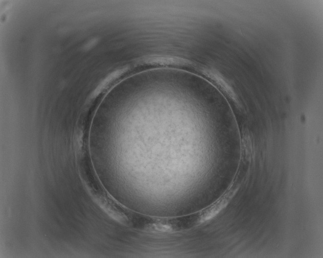 X0000081480159200701121453