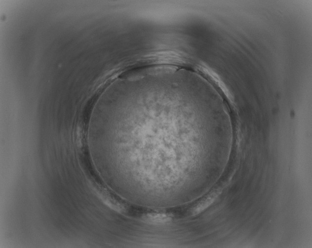 X0000081480161200701121453