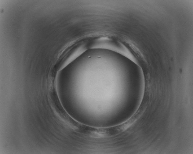 X0000081480164200701121454