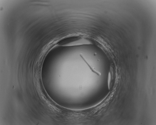 X0000081480193200701121453