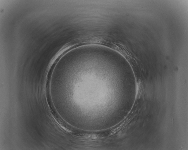 X0000081480195200701121453