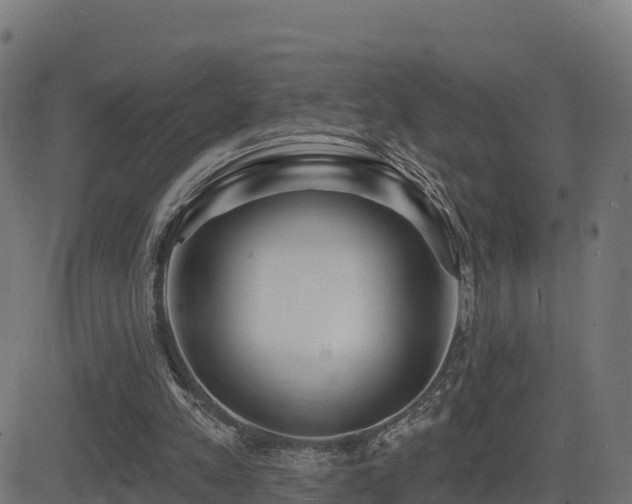 X0000081480197200701121453