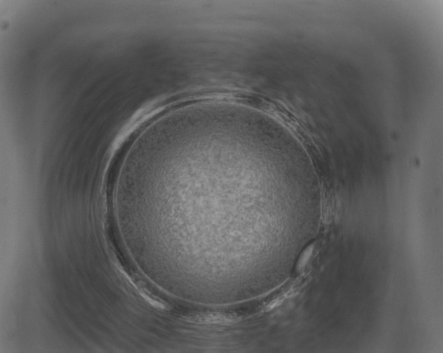 X0000081480198200701121453