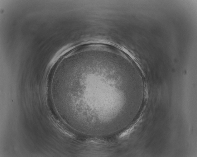 X0000081480199200701121453