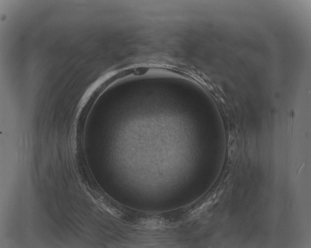 X0000081480200200701121453